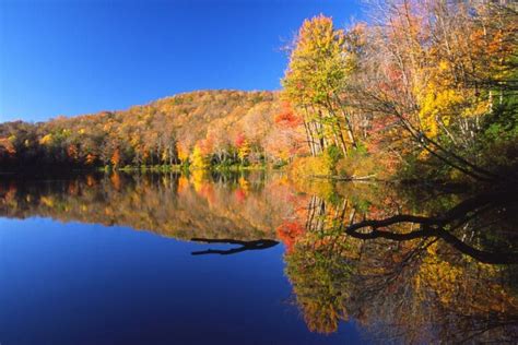 Berkshires Fall Foliage Day Trips Mount Greylock And More