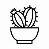 Cactus Indoor sketch template