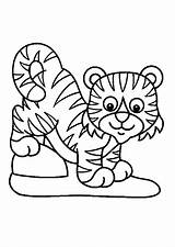 Tigre Coloriage Petit Colorier Dedans Imprimer Selva Hugolescargot Greatestcoloringbook sketch template