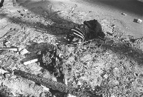 photo charred human remains shanghai china mid  world war ii