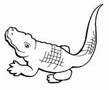 Crocodile Coloring Pages Alligator Crocodiles Color Kids Small Baby Simple Drawings Clipart Gras Mardi Sheets Drawing Clip Animals Piranha Getdrawings sketch template