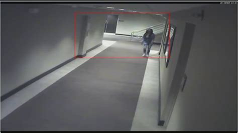 police release all surveillance video of kenneka jenkins from rosemont