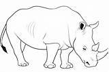 Rhino Coloring Animals Wild Sketch Drawing Animal Line Baby Sketches Rhinoceros Pages Printable Colour Pencil Beetle Drawings Getdrawings Color Paintingvalley sketch template
