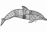 Zentangle Dolphin Coloring Pages Patterns Selfmade sketch template