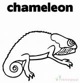 Coloring Chameleon Kameleon Kolorowanki Dzieci sketch template