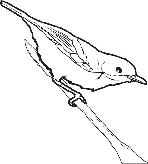robin logo coloring pages dc robin coloring pages  day