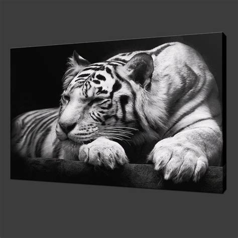 buy modern tiger wall art hd painting  canvas single animal prints pictures