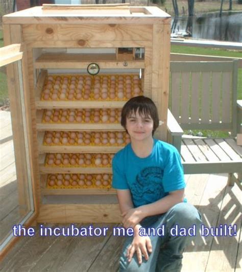Making A Homemade Incubators 20 Ideas For Hatching Eggs The Poultry