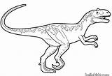Velociraptor Coloring Pages Getcolorings Dinosaur Printable Color sketch template