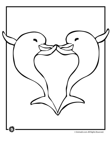 dolphins  love coloring page woo jr kids activities