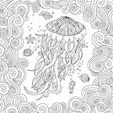 Jellyfish Zentangle книжка предпосылке медузы белой стиле sketch template