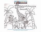 Creation Coloring Pages Story God Bible Animals Printable Made Children Created Preschool Kids Characters Cullensabcs Genesis Earth Verse Color Sheets sketch template