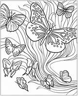 Coloring Butterflies Pages Adults Roses Color Printable Getcolorings sketch template