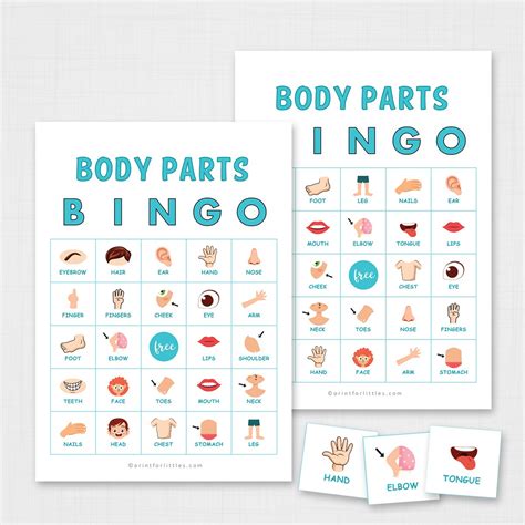 lista  foto parts   body puzzle worksheets alta definicion