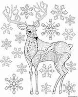 Intricate Antlers Snowflakes sketch template