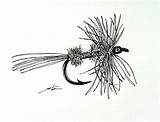 Fly Drawing Fishing Sketch Pencil Fisherman Flies Drawings Trout Pyrography Fish Tying Ink Vintage Paintingvalley Collection sketch template