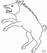 Peccary Collared Boar sketch template
