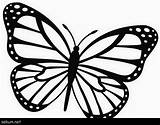 Butterfly Coloring Monarch Printable Pages Outline Easy Drawing Template Kids Morpho Choose Board Sketch sketch template