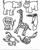 Coloring Pages Jungle Animal Animals Printable Rainforest sketch template