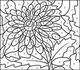 Color Number Pages Coloring Numbers Flower Hard Flowers Printable Adult Printables Gerbera Colour Difficult Patterns Books Adults Paint Kids Sheets sketch template