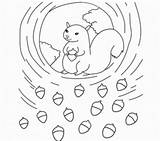 Coloring Squirrel Preschool Pages Library Clipart Protectora Dos Animais Sociedade Popular sketch template