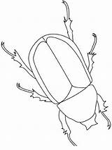 Beetle Insekten Escarabajo Scarabee Ausmalen Malvorlage Colouring Owady Insectes Kolorowanki Rinoceronte Lightupyourbrain Robaki Outline Zeichnen Malvorlagen Insetti Colorare Bugs Kaefer sketch template