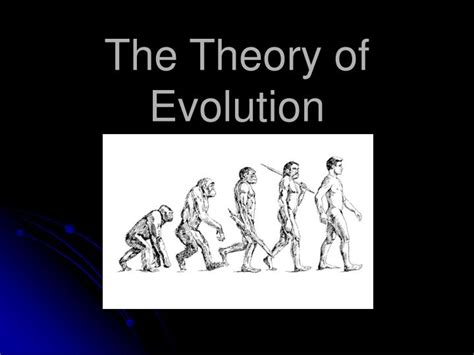 Ppt The Theory Of Evolution Powerpoint Presentation Free Download