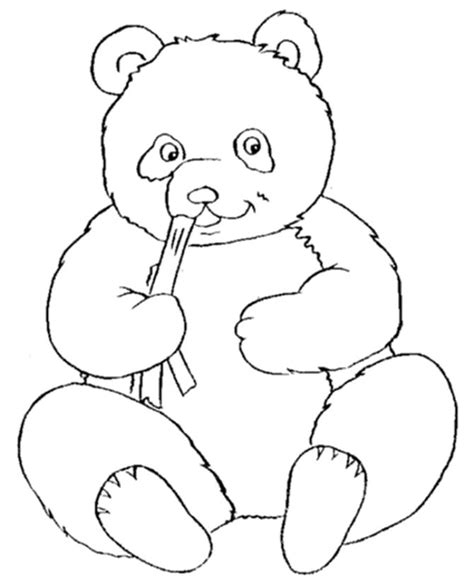 cute panda coloring pages coloring home