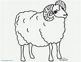 Ram Coloring Pages Sheep Baa Drawing Head Getcolorings Printable Color Print Template Getdrawings Popular sketch template