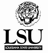 Lsu Drawing Tiger Coloring Pages Getdrawings sketch template