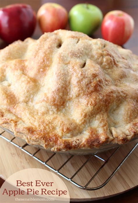 Best Ever Apple Pie Recipe And Recipe For A Double Pie Crust