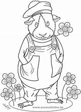 Ausmalbilder Template Meerschweinchen Coloring sketch template