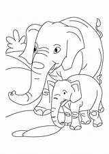 Elefanti Elefante Pianetabambini Stampare Versione Singolarmente sketch template