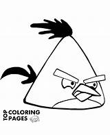 Angry Birds Bird Coloring Pages Topcoloringpages sketch template