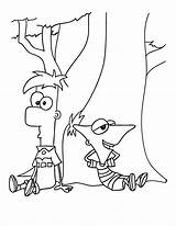 Phineas Ferb Coloring Dibujos Widow Colorat Descansando Copac Planse Ornitorrinco Baieti Cei Plansa Agente Seu Tigrisor Tudodesenhos sketch template