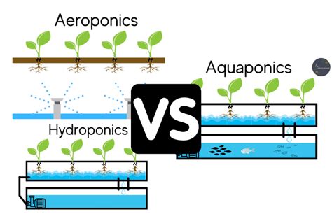 aeroponics  hydroponics  aquaponics detailed comparison love