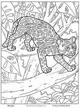 Colouring Pages Animal Pattern Animals Jungle Coloring Color Kids Printable Margay Print Getcolorings sketch template