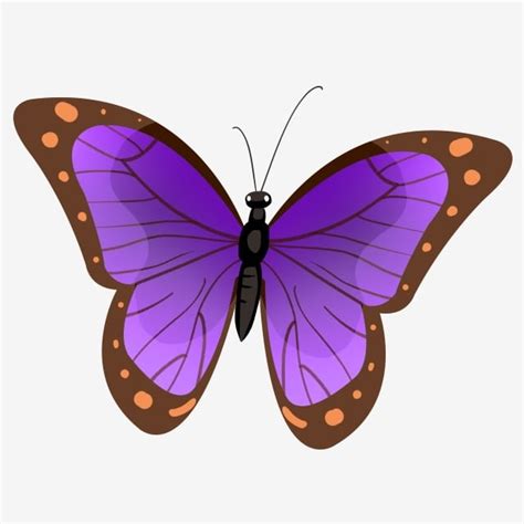 Imagenes De Mariposas Animados Dibujos Animados De Mariposa Vector