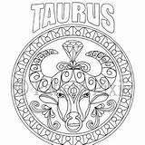 Taurus sketch template