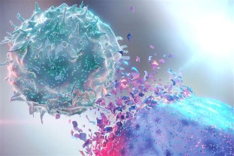 Immunotherapy To Treat Cancer