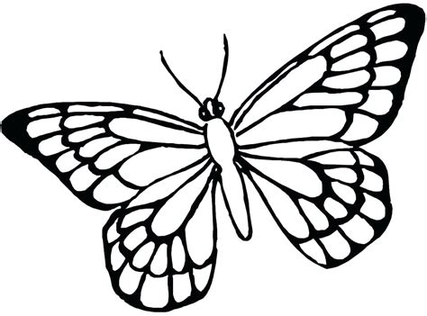printable butterfly coloring pages  adults  getdrawings