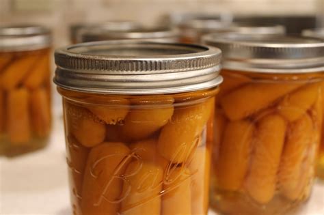 ohio thoughts canning carrots