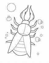 Beetle Coloring Sheet Animal Kids Pages Drawing sketch template