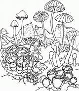 Coloring Trippy Printable Pages Popular sketch template