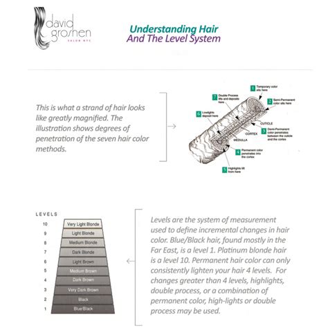 charts guides nyc extensions color cut celebrity hair style