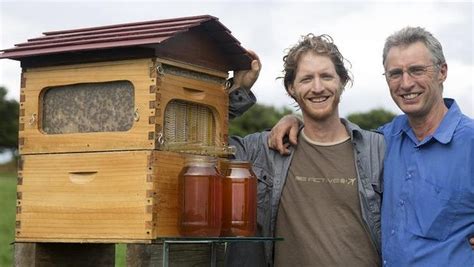 flow hive honey on tap directly from your beehive