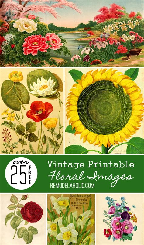 remodelaholic   printable vintage floral images