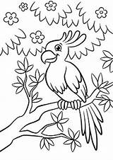 Parrot Colorear Perroquet Colouring Branche Albero Foresta Fiorito Sull Sveglio Gentile Siede Pappagallo Tulamama Pinte Dory sketch template