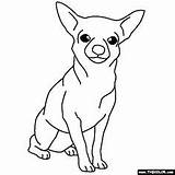 Chihuahua Coloring Pages Drawing Kids Dogs Dog Chiweenie Thecolor Color Line Popular Template Simple Getdrawings Cute Choose Board sketch template