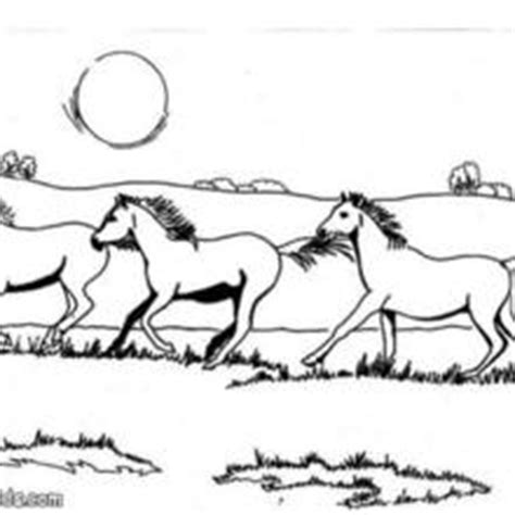 galloping horses coloring pages hellokidscom
